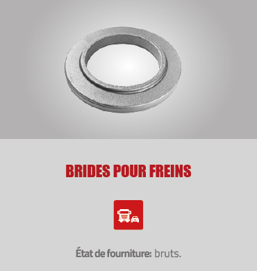 BRIDES_POUR_FREINS