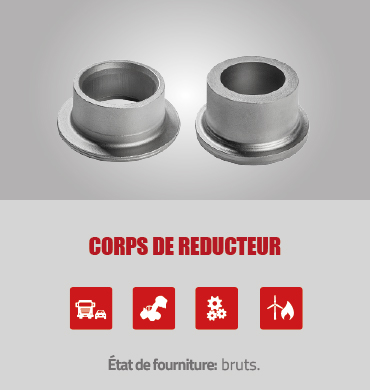 CORPS_DE_REDUCTEUR