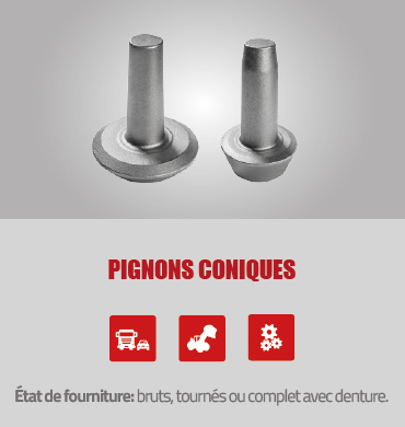 PIGNONS_CONIQUES