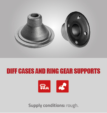 diff_cases_and_ring_gear_supports